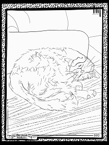 Kitty Cat Colouring Page